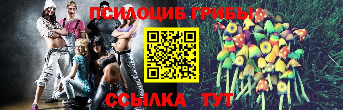 Галлюциногенные грибы прущие грибы Пенза